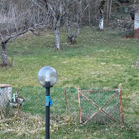 Il Picchio